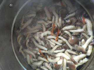 彩色菠菜饺子的做法步骤:5