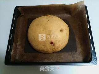 葡萄干软欧包的做法步骤:7