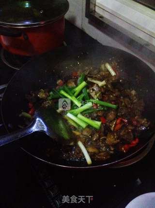 麻辣啤酒鸭的做法步骤:7