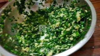 五彩缤纷的年夜饺子的做法步骤:8
