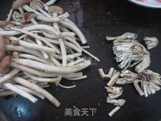茶树菇炒鸡肉的做法步骤:5