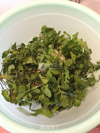 蒸芥菜的做法步骤:2