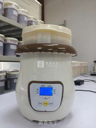 助消化抗衰老养颜酵素的做法步骤：8