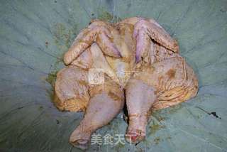 荷香蝴蝶烤鸡的做法步骤:6
