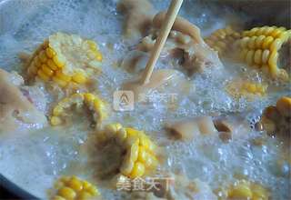 玉米炖猪蹄儿的做法步骤:7