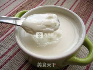 姜撞奶—初春小甜品的做法步骤:15