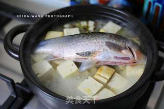芹菜鲫鱼豆腐的做法步骤:9