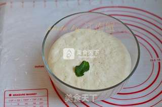 葱油花卷的做法步骤:5