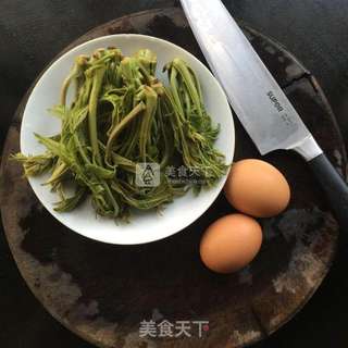 香椿摊鸡蛋的做法步骤:2