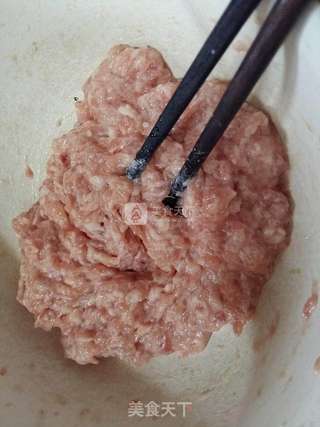 紫菜虾皮鲜肉馄饨的做法步骤:2