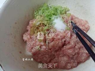 紫菜虾皮鲜肉馄饨的做法步骤:3