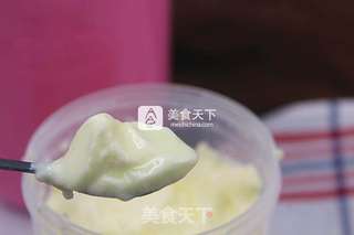 盆栽酸奶的做法步骤:8
