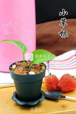 盆栽酸奶的做法步骤:13