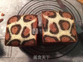 豹纹吐司的做法步骤:12
