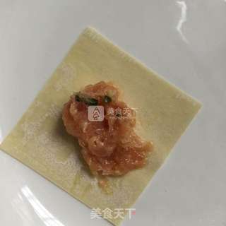 鸡肉小馄饨的做法步骤:4