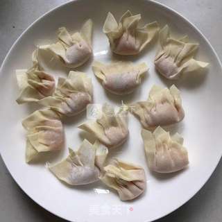 鸡肉小馄饨的做法步骤:5