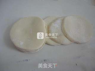 韭菜虾皮肉馅锅贴的做法步骤：5
