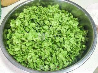 榆钱麦饭的做法步骤:3