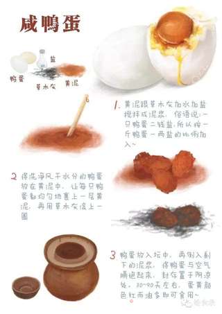 【手绘食谱】咸鸭蛋 — 一颗闲的要命 富得留油的鸭子蛋的做法步骤:5