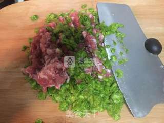 榆钱鲜肉煎饺的做法步骤:3