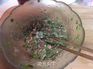 榆钱鲜肉煎饺的做法步骤:5
