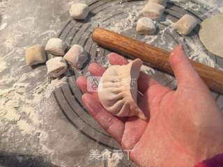 榆钱鲜肉煎饺的做法步骤:12