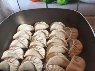 榆钱鲜肉煎饺的做法步骤:14