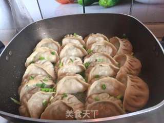 榆钱鲜肉煎饺的做法步骤：16