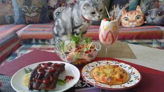 【黑胡椒烤猪排】的做法步骤:8