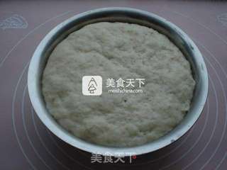 健康全麦馒头的做法步骤：2