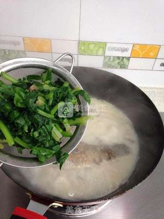 鲜鱼菠菜汤的做法步骤:8