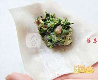舌尖上早春的味道荠菜馄饨——怎样制作透明馄饨皮的做法步骤:9