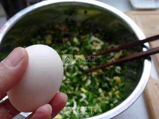 韭菜盒子----初春食韭正当时(附盒子花边的详细包法)的做法步骤:9