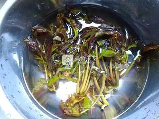 香椿炒鸡蛋的做法步骤:2