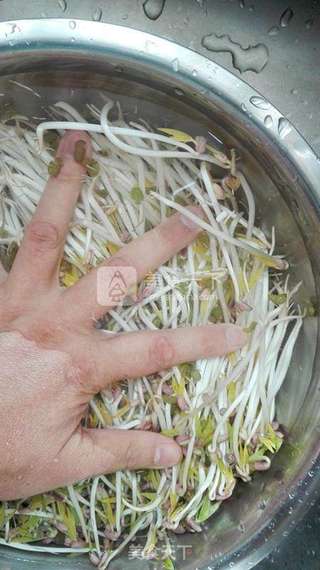 炝拌绿豆芽的做法步骤:3