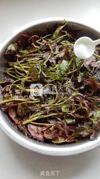 腌香椿芽的做法步骤:3