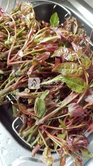 腌香椿芽的做法步骤:2