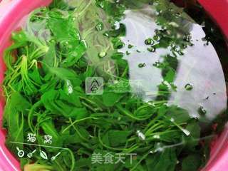 荠菜瘦肉粥的做法步骤:5