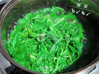 荠菜瘦肉粥的做法步骤:4