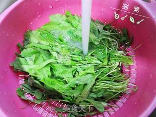 荠菜瘦肉粥的做法步骤:2