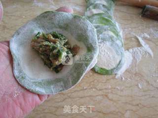 翡翠荠菜猪肉饺的做法步骤：9