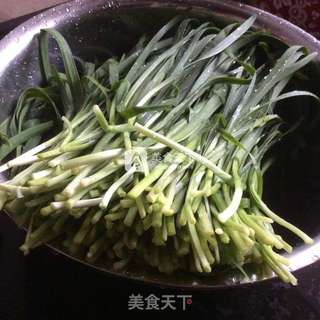 韭菜鸡蛋水饺的做法步骤:3