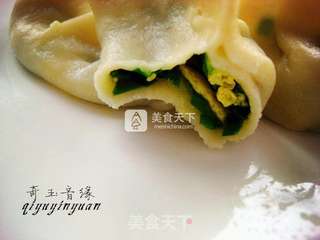 韭菜鸡蛋水饺的做法步骤:15