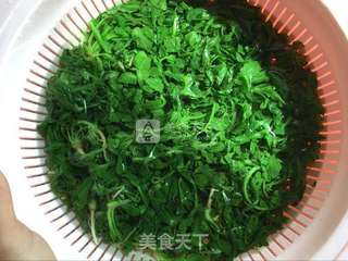 荠菜素馅蒸饺的做法步骤:2