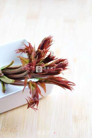 春天的礼物——香椿拌豆腐的做法步骤：15