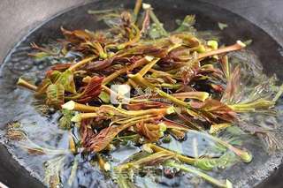 春天的礼物——香椿拌豆腐的做法步骤：5