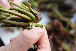 春天的礼物——香椿拌豆腐的做法步骤：2