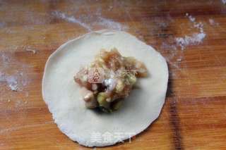 白菜鲜肉饺子的做法步骤:7