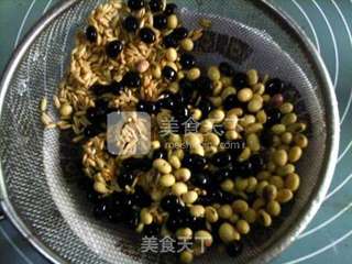 红枣燕麦二豆豆浆的做法步骤:2
