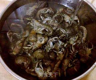 清蒸蝼蛄虾的做法步骤:2